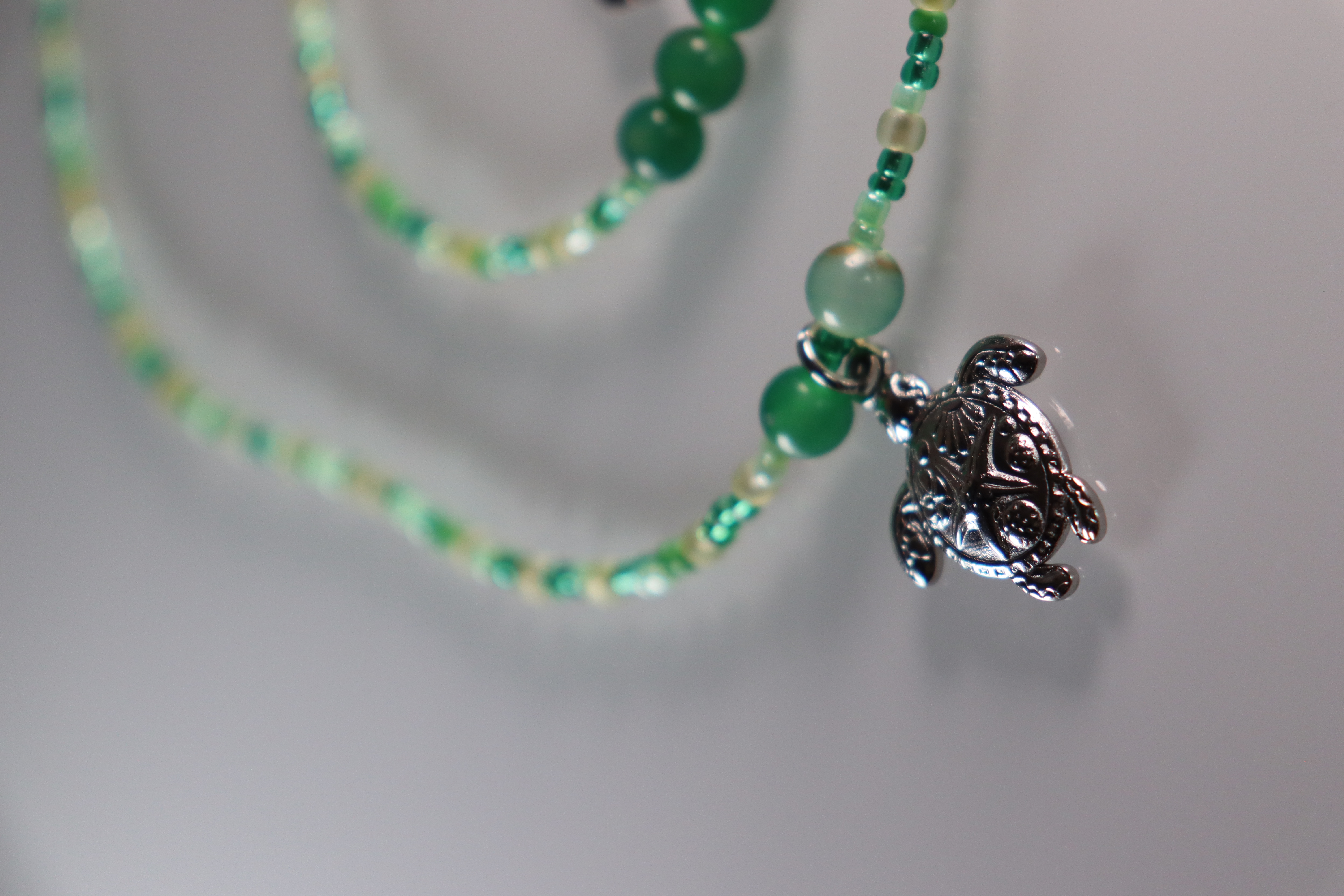 green turtle set